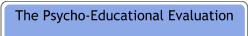 The Psycho-Educational Evaluation